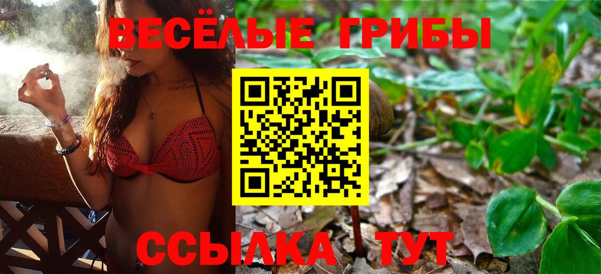 Псилоцибиновые грибы прущие грибы Дивногорск
