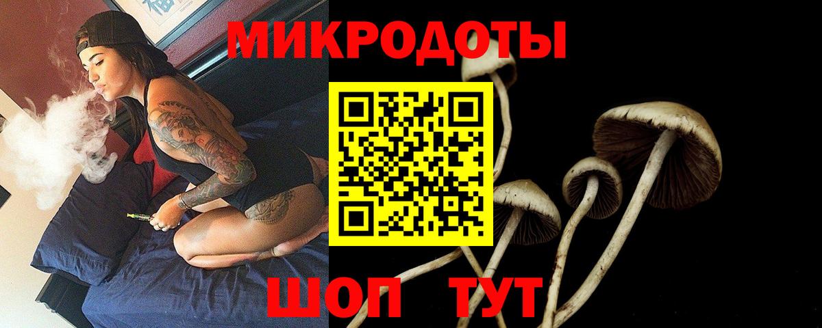 Галлюциногенные грибы Cubensis  Вход с VPN  Дивногорск 